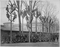 Vocational training for S.A.T.C. in University of Michigan, Ann Arbor. Class in Pole-Climbing in the course for telephone electricians, with some of their instructors. University of Michigan., ca. 1918. Original public domain image from Flickr