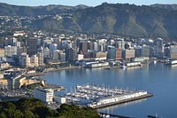 Wellington Harbor, city view. Original public domain image from Flickr