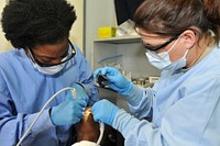 Lilongwe, Malawi - Staff Sgt. Amy L. Montgomery and Master Sgt. Teresa J. Morgan of the 908th Aeromedical Staging Squadron clean a patient’s teeth. While in Malawi to support the joint humanitarian exercise MEDREACH 11, the Airmen volunteered at the Partners in Hope Medical Centre to provide free dental care to local civilians. MEDREACH is a key program in the United States’ efforts to partner with the Government of Malawi. (Photo by Sgt. Jesse Houk, 139th MPAD, Illinois Army National Guard). Original public domain image from Flickr