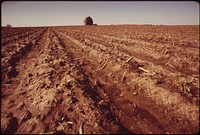 Farm typical of eastern Nebraskan Plains, May 1973. Photographer: O'Rear, Charles. Original public domain image from Flickr