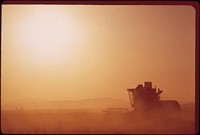 Cutting barley in the Imperial Valley, south of the Salton Sea, May 1973. Photographer: O'Rear, Charles. Original public domain image from Flickr