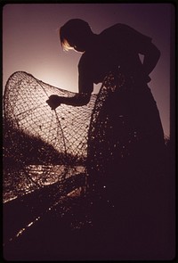 California fish and game biologist checks gill nets placed in the Colorado River. Nets will provide data on the number of fish in the area, May 1972. Photographer: O'Rear, Charles. Original public domain image from Flickr