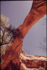 White canyon, near the Sipapu Bridge Natural Bridges National Monument, 05/1972. Photographer: Norton, Boyd. Original public domain image from Flickr