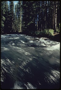 Uncompahgre National Forest, 05/1972. Photographer: Norton, Boyd. Original public domain image from Flickr