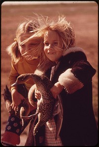 Second grade school girls from Calipatria clutch pintail ducks. They are studying banding and migration at the Salton Sea National Wildlife Refuge, March 1973. Photographer: O'Rear, Charles. Original public domain image from Flickr