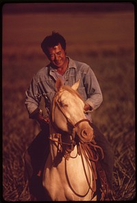 With pineapple fields as his arena, Henri Aki takes his horse for a late afternoon training session near Lanai City. Pineapple growing takes up 16,000 acres of the islands territory, October 1973. Photographer: O'Rear, Charles. Original public domain image from Flickr