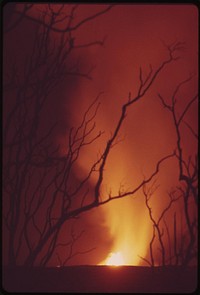 Mauna Loa glows with hot lava during peak of eruption. Trees in foreground were killed by earlier eruptions. Original public domain image from Flickr