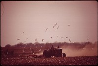 Farm scene east of Jansen, May 1973. Photographer: O'Rear, Charles. Original public domain image from Flickr