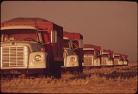 These trucks will be loaded with barley grown in the Imperial Valley, May 1972. Photographer: O'Rear, Charles. Original public domain image from Flickr