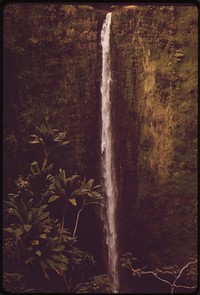 Akaka Falls State Park, November 1973. Photographer: O'Rear, Charles. Original public domain image from Flickr