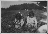 Camille Carmo, Justine, 7 and 9 years old. The older one picks about 4 pails a day. Youngest was picking also, September 1911. Photographer: Hine, Lewis. Original public domain image from Flickr