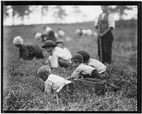 Frank Denato, 6 years old, Tom, 4 years old, and Domino, 12 years old, live in Philadelphia and padrone, September 1910. Photographer: Hine, Lewis. Original public domain image from Flickr