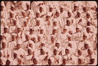 15-0673MBlack Muslim Women Dressed In White Applaud Elijah Muhammad During The Delivery Of His Annual Savior's Day Message In Chicago, 03/1974. Photographer: White, John H. Original public domain image from Flickr