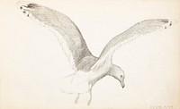 (unknown), 1857 - 1875part of a sketchbook, by Ferdinand von Wright