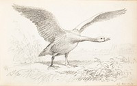 (unknown), 1857 - 1875part of a sketchbook, by Ferdinand von Wright