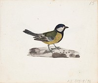 Talitiainen, 1830part of a sketchbook, by Ferdinand von Wright