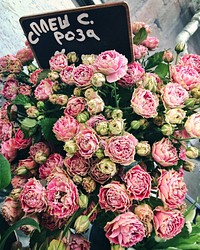 Florist shop, pink roses. View public domain image source here