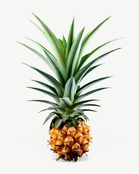 Pineapple fruit  collage element psd