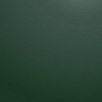 Minimal green background, textured design