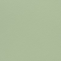 Simple green background, plain design