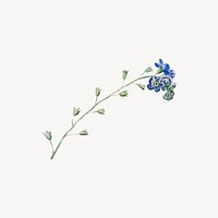 Blue flower vintage illustration collage element  vector