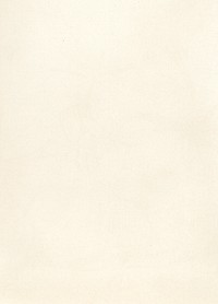 Simple beige background with copy space