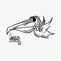 Pelican clipart, illustration vector. Free public domain CC0 image.