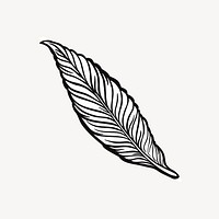 Leaf illustration. Free public domain CC0 image.