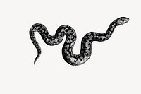 Snake illustration. Free public domain CC0 image.