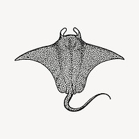 Stingray clipart vector. Free public domain CC0 image.