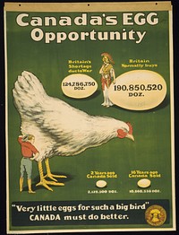 Canada's egg opportunity