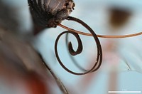 Ovipositor and sheath of Aulacid wasp (Aulacidae, Pristaulacus spp.)USA, TX, Starr Co.Falcon State ParkA.W. Hook, J. Neff, R. Nelson coll.