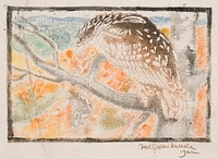 Kokko the eagle, illustration for the great kalevala, 1922, by Akseli Gallen-Kallela