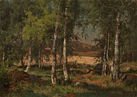 Landscape with birch grove and rye field, 1876, Hjalmar Munsterhjelm