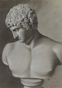 Kipsinen miehen rintakuva, akatemiaharjoitelma, 1866 - 1868, Oscar Kleineh