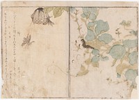 Caterpillar and bees, 1788, by Kitagawa Utamaro