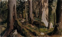 Forest, study, 1872, Fanny Churberg