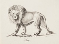 Lion, 1829, Wilhelm von Wright