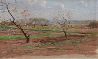 Fruit-trees in bloom, suresnes, 1890, Victor Westerholm