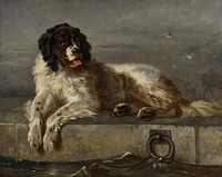 A distinguished member of the humane society, 1850 - 1899, Edwin Henry Mukaan Landseer