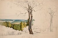 View from jaakkima parsonage over the lake laatokka ; unfinished, 1860, Magnus Von Wright
