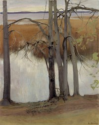 Lake shore with reeds, 1905, Eero Järnefelt