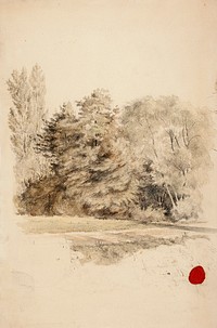 Puuryhmä niityn laidassa, 1853, Werner Holmberg