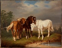 Horses, after carl wahlbom, 1864, Magnus Von Wright
