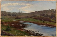 Kaislankokoojat, 1877, Fanny Churberg