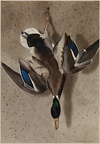 Hanging mallard, 1834, by Ferdinand von Wright