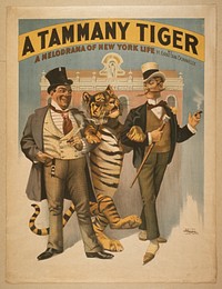 A Tammany tiger a melodrama of New York life by H. Grattan Donnelly.