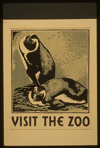 Visit the zoo