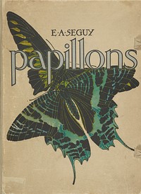 E.A. Séguy's Papillons (1925) butterfly illustration in vintage style. Original public domain image from Biodiversity Heritage Library.