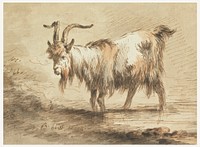 Study of a Goat, Jeanbaptiste Huet